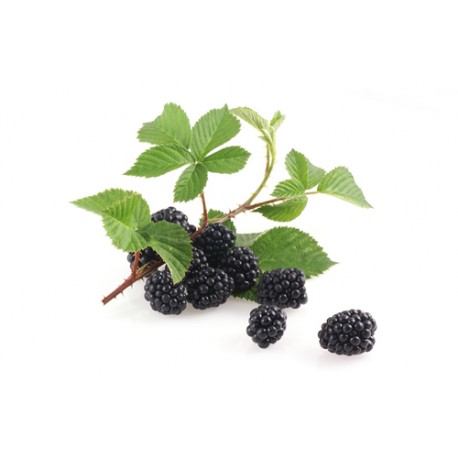 Black berry Leaves - 100 gms