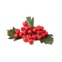 Hawthorn Berry Dried - 100 gms