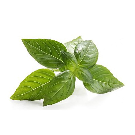 Basil Leaves - 250 Gms