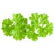 Parsley Dried - 250 Gms