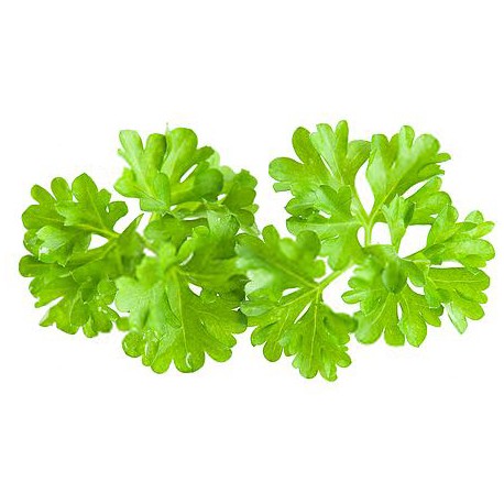 Parsley Dried - 250 Gms