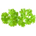Parsley Dried - 250 gms