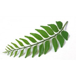 Curry Leaves Dried (250 Gms)