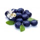 Blueberries Dried - 100 gms