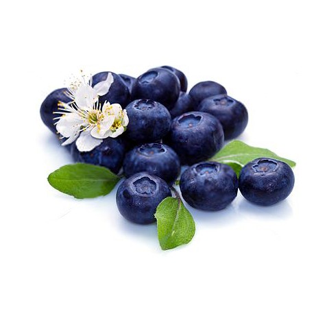 Blueberries Dried - 100 gms