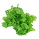 Coriander Leaves Powder - 100 gms